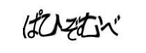 Authentication image